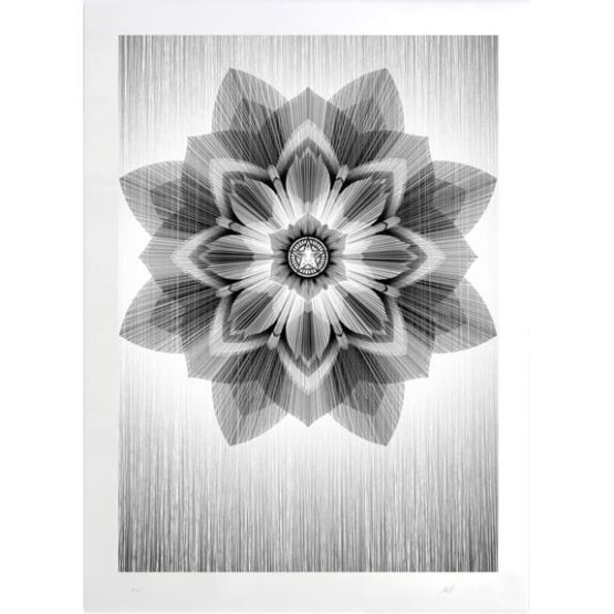 Shephard Fairey (OBEY) x Kai & Sunny - StarDust Print (Silver)