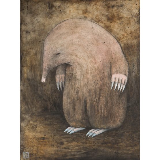 Bisser - Mole