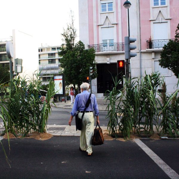 Portuguese Street Artist Forest Dump’s 'Latest Hunting Series 'City Life'. Image Copyright Forest Dump