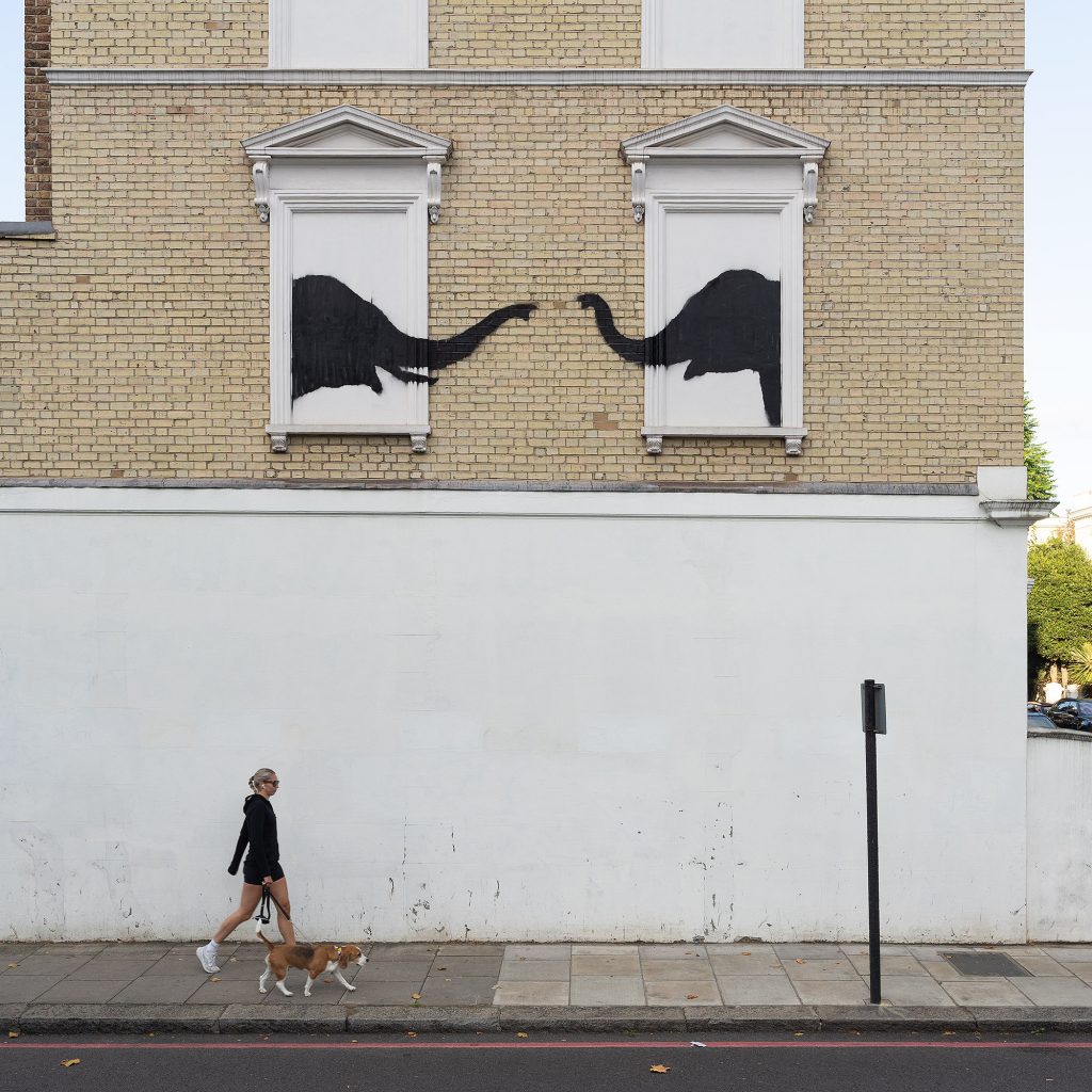Two elephant murals facing each other in Chelsea as part of Banksy London Zoo 2024
