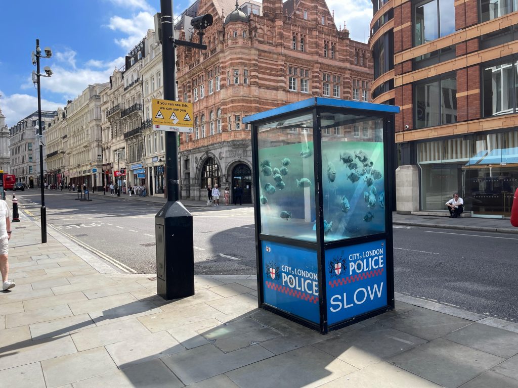 Piranhas filling a police box in London, part of Banksy London Zoo 2024