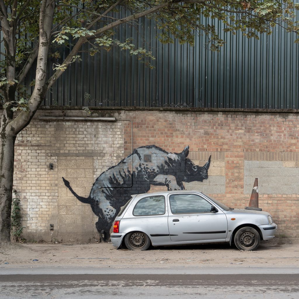 Rhino interacting with Nissan Micra in Banksy London Zoo 2024 street intervention