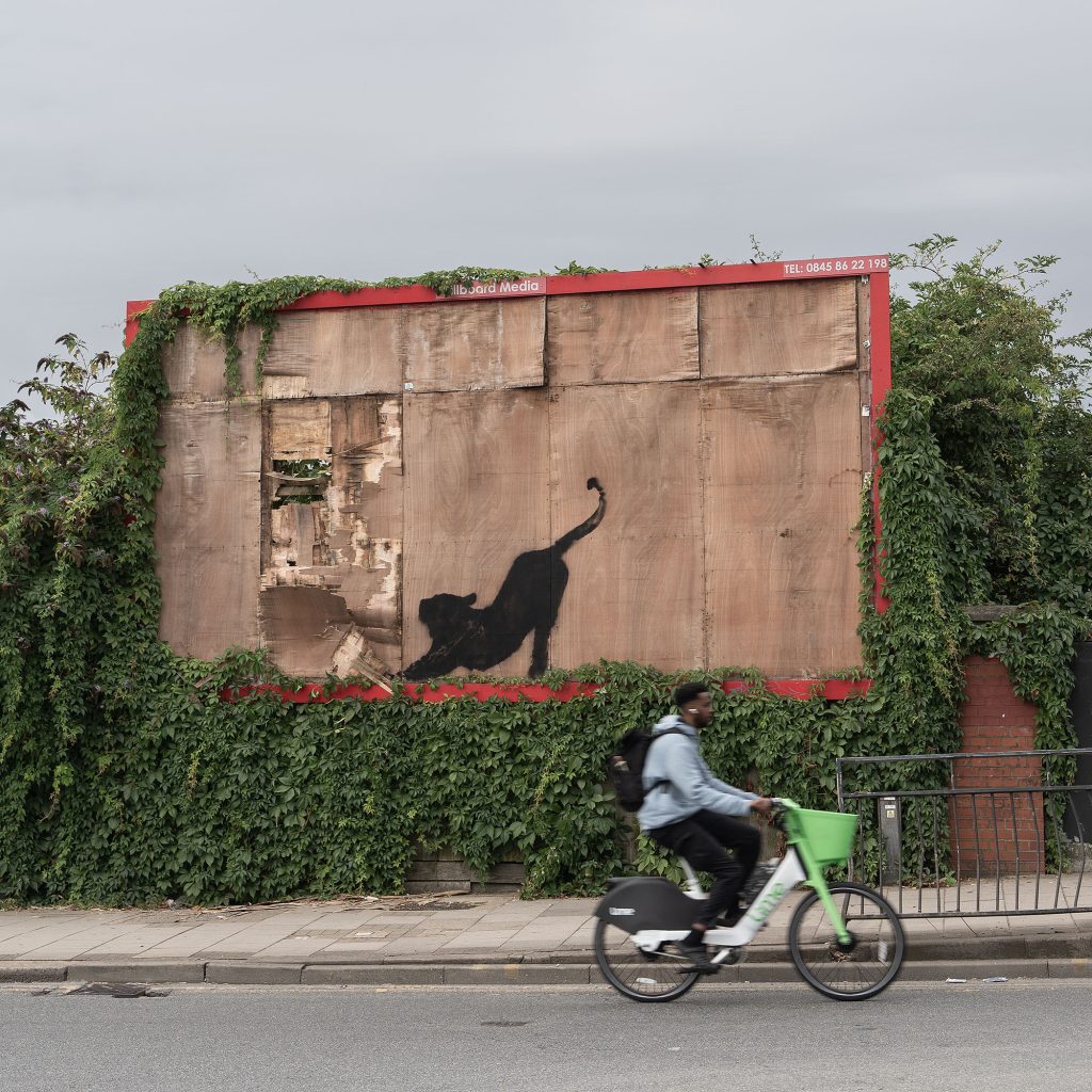 Wild cat tearing through billboard in Banksy’s 2024 London Zoo wildlife series