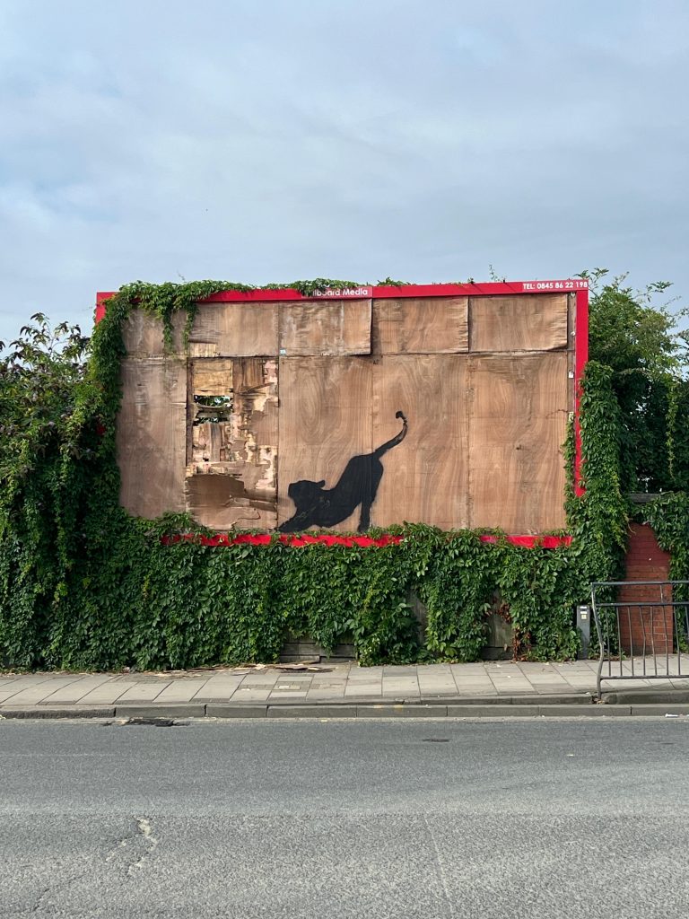Wild cat clawing through billboard in London from Banksy London Zoo 2024 series