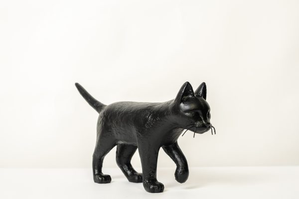 Ricardo Romero - CAT#000 (Black)